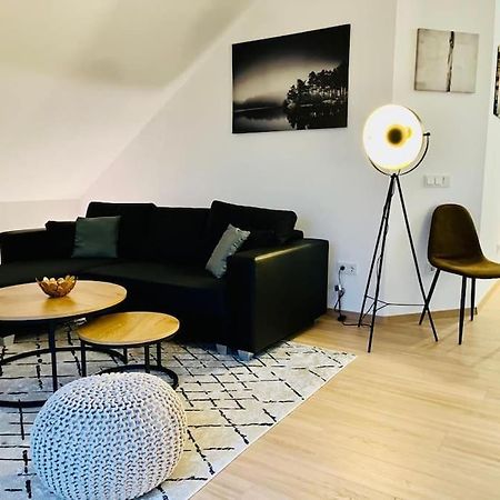 Ein Blick Uber Das Elbtal Dresden Bagian luar foto