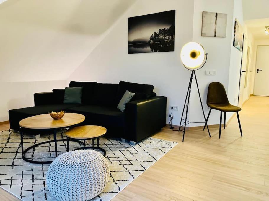 Ein Blick Uber Das Elbtal Dresden Bagian luar foto
